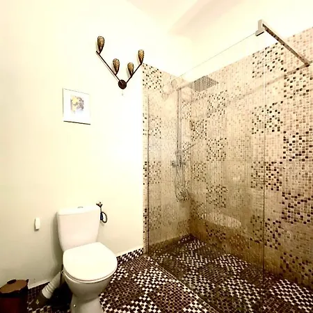 Casa Irina * Μπρασόβ
