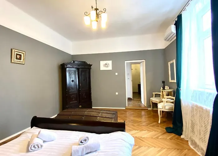 Casa Irina 公寓 布拉索夫